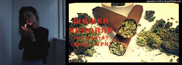 ПСИЛОЦИБИНОВЫЕ ГРИБЫ Няндома