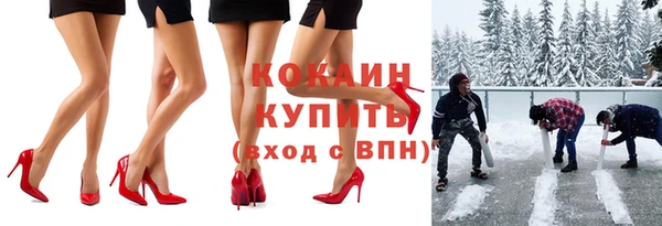 ПСИЛОЦИБИНОВЫЕ ГРИБЫ Няндома