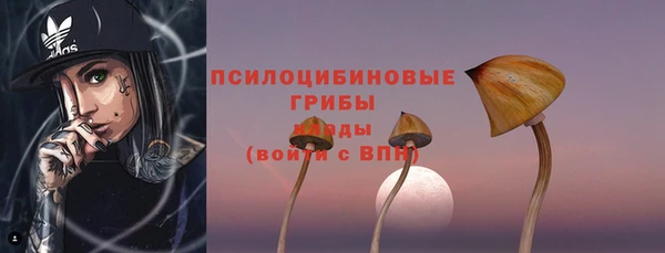 ALPHA PVP Нягань