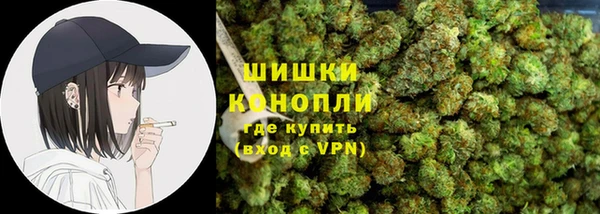 ПСИЛОЦИБИНОВЫЕ ГРИБЫ Няндома