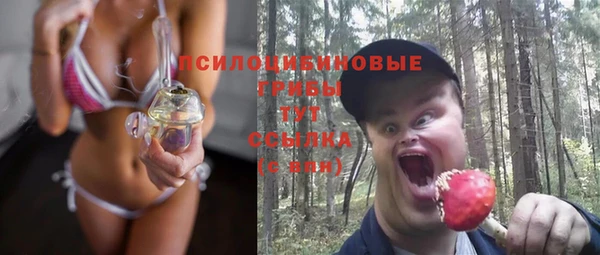 амф Нязепетровск