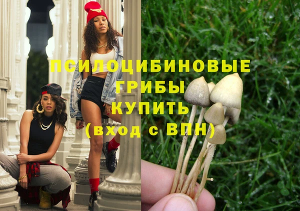 a pvp Заводоуковск