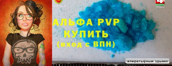 ПСИЛОЦИБИНОВЫЕ ГРИБЫ Няндома
