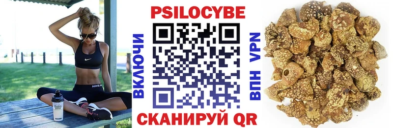 MEGA ссылка  купить  цена  Сальск  Псилоцибиновые грибы Cubensis 