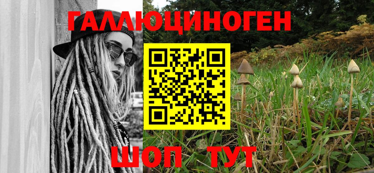 Сальск  Псилоцибиновые грибы ЛСД  Вход с VPN 